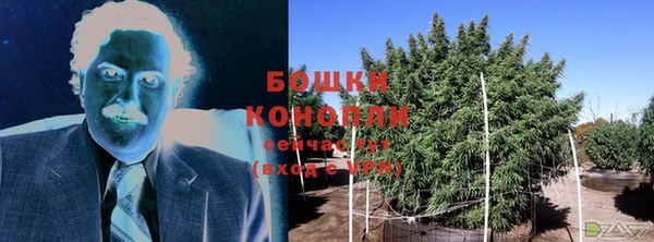 каннабис Беломорск