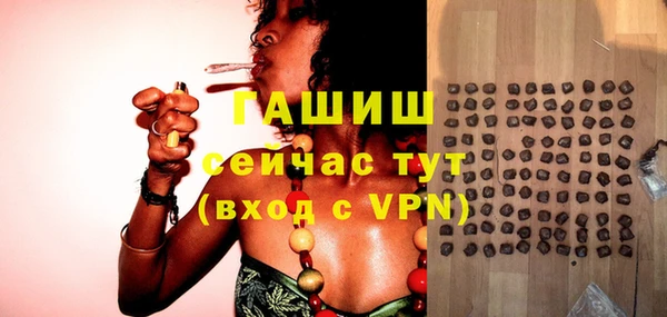 spice Богородицк