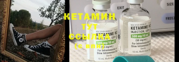 spice Богородицк