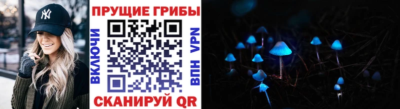 Псилоцибиновые грибы ЛСД  darknet какой сайт  Городище  где можно купить  